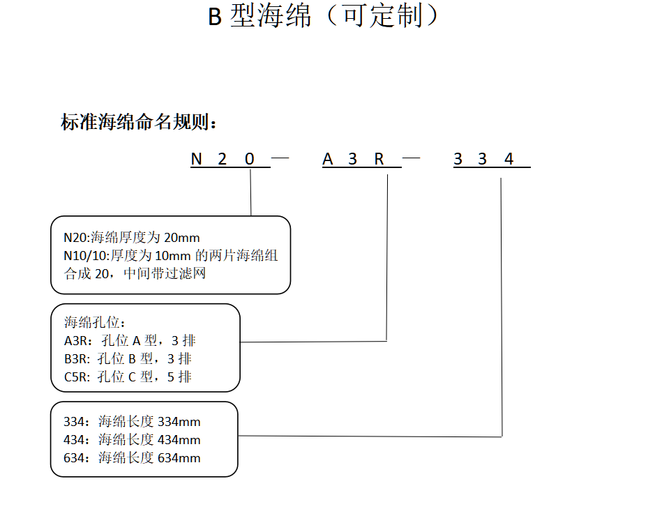 B型海綿(圖1)